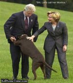 Clinton-Dog.jpg