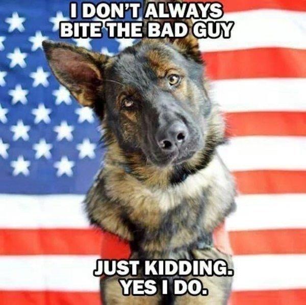 00ooooodogmeme06600x598.jpg