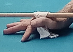 1000003638.jpg