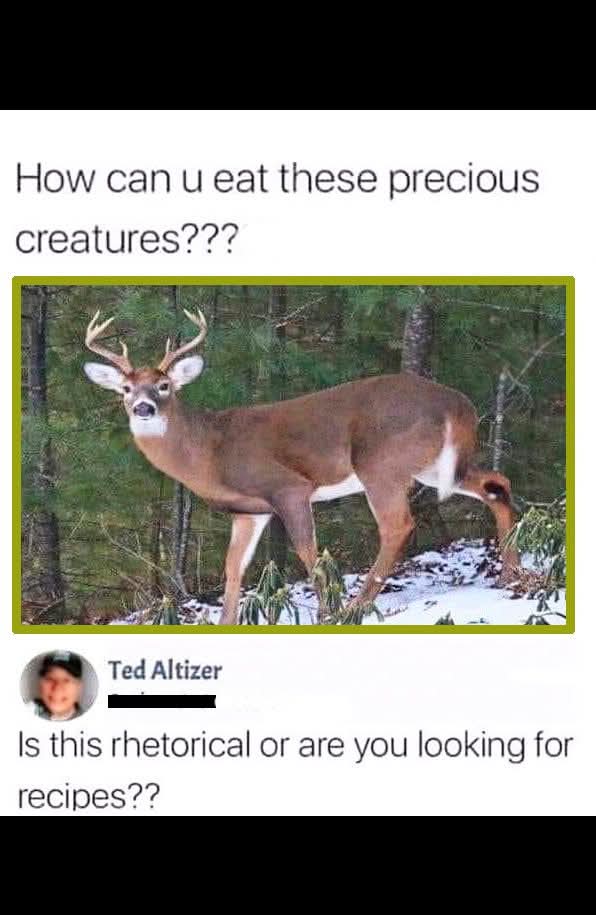 1000003697.jpg