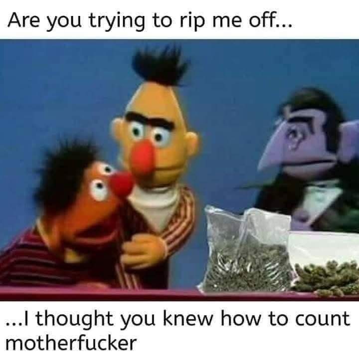1000004908.jpg