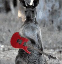 1000005018.gif
