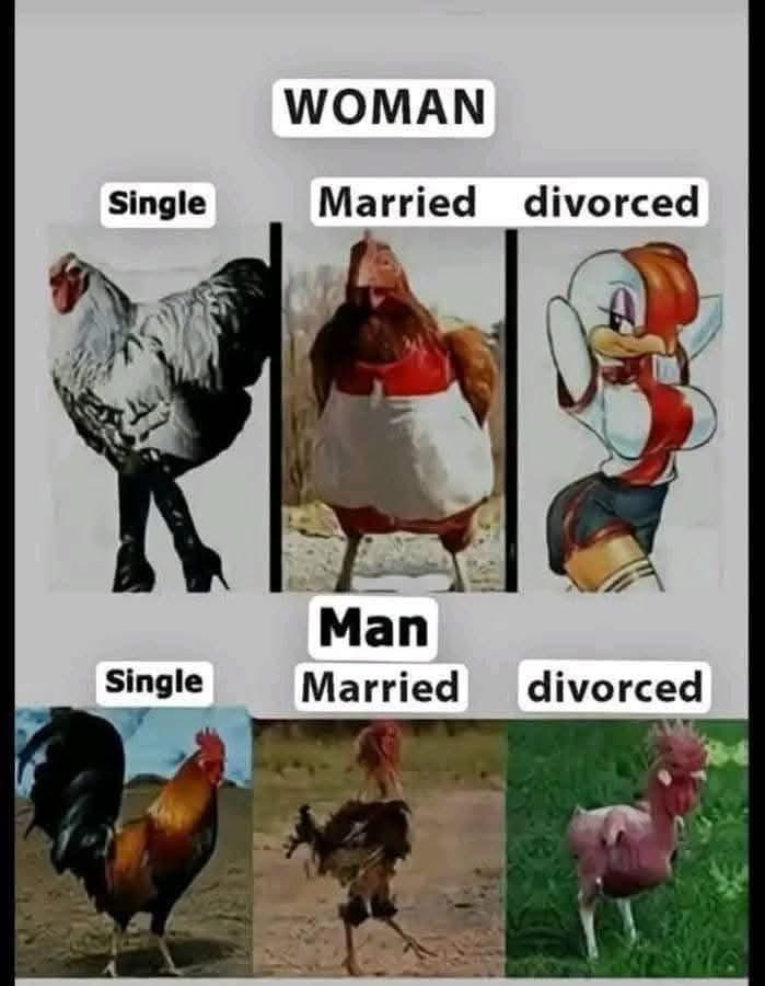 1000005129.jpg
