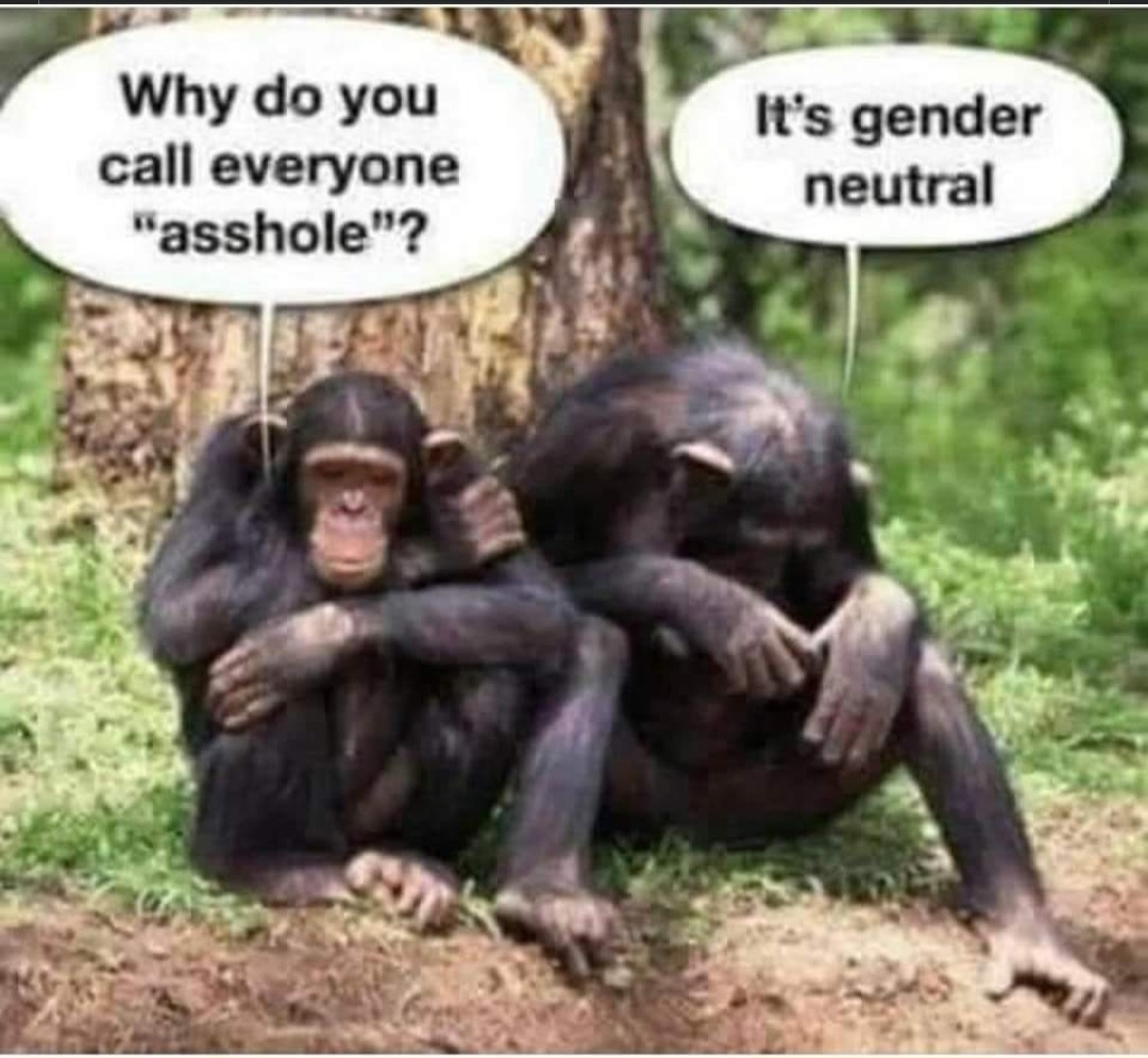 1000006160.jpg