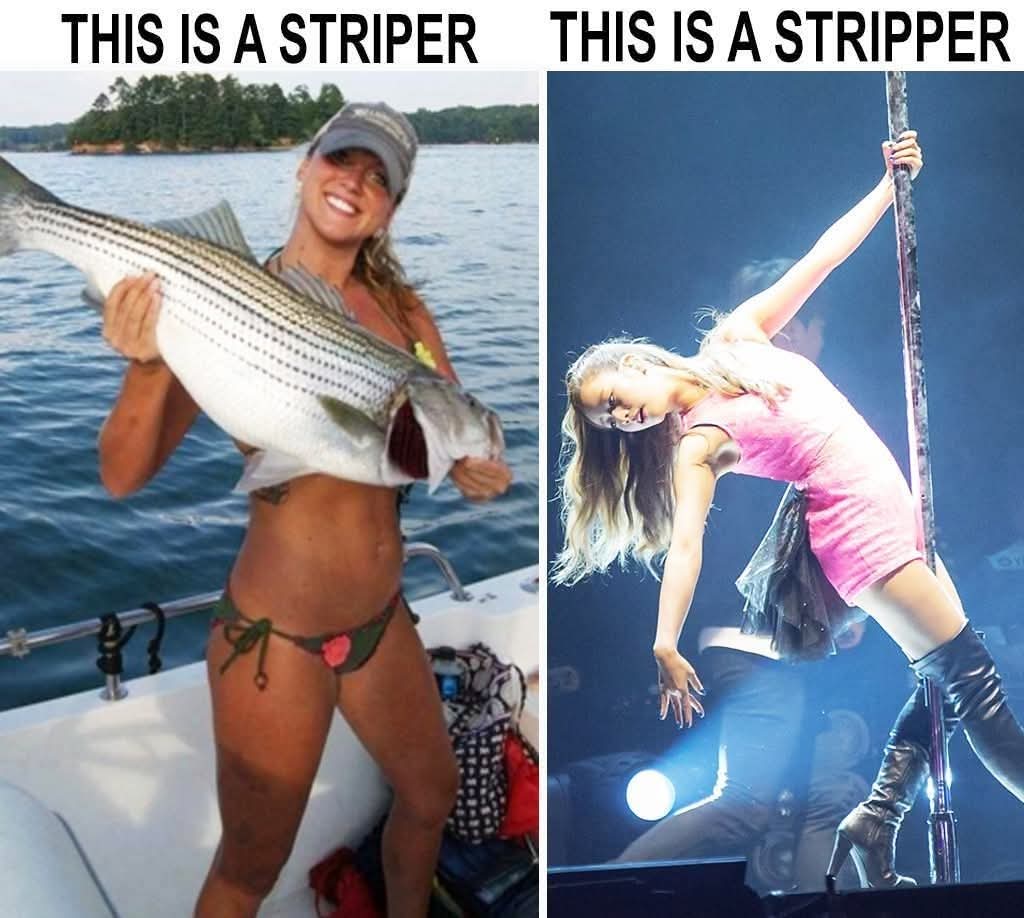 1000007044.jpg
