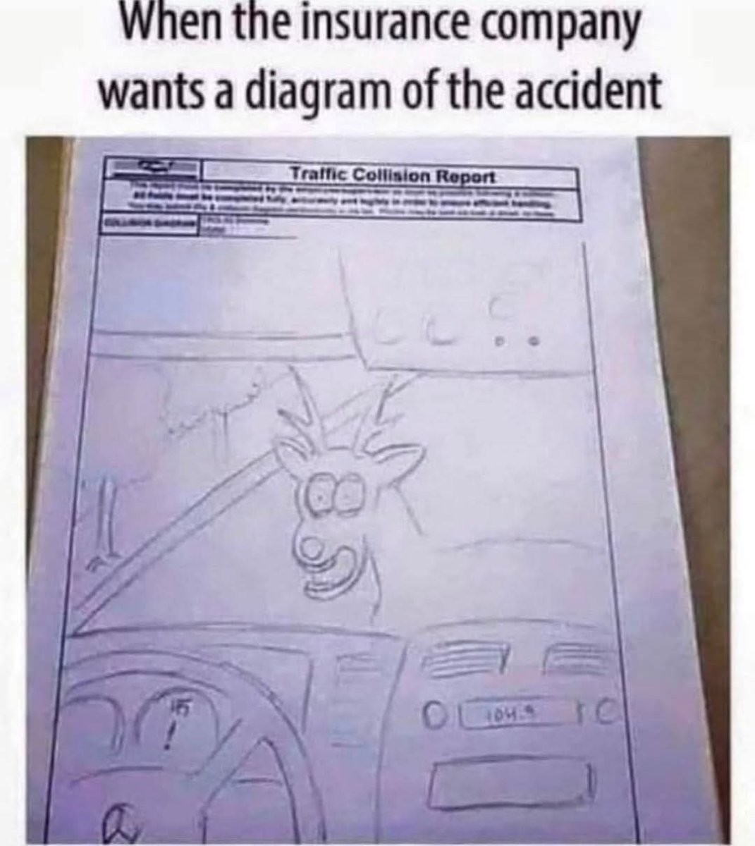 1000008033.jpg