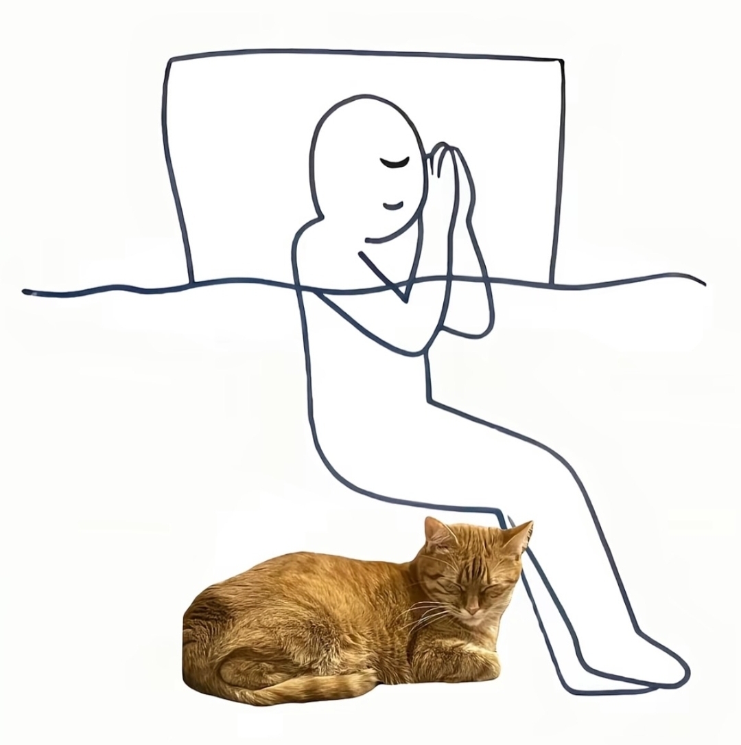 1000011926.jpg