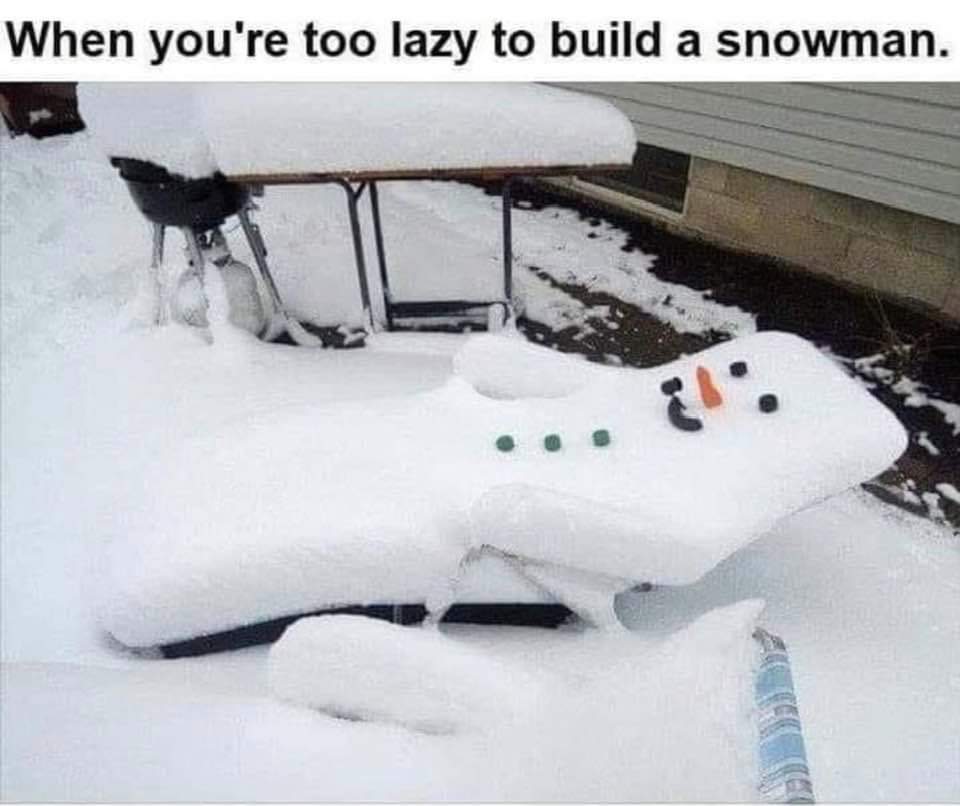 1000015729.jpg
