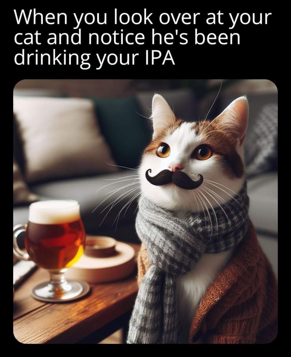 1000019537.jpg
