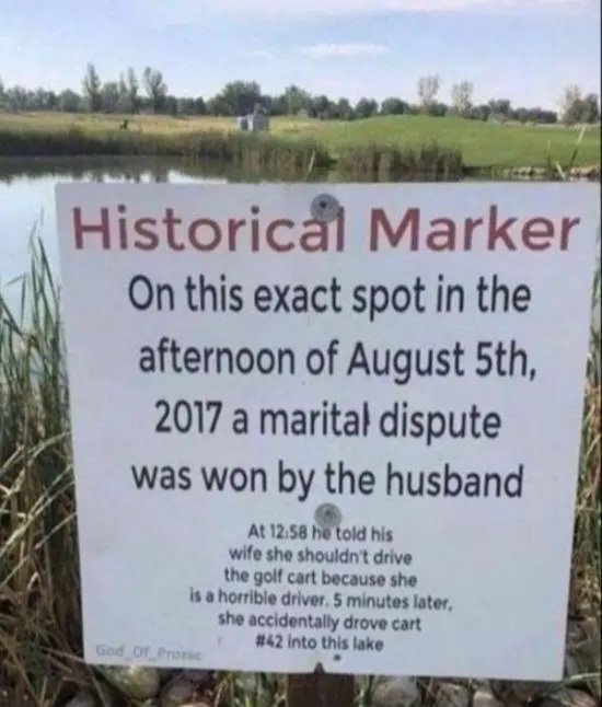 1000022805.jpg