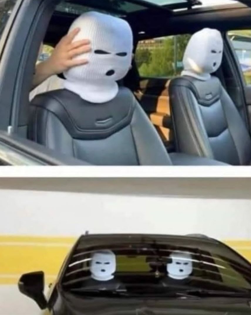 1000023678.jpg