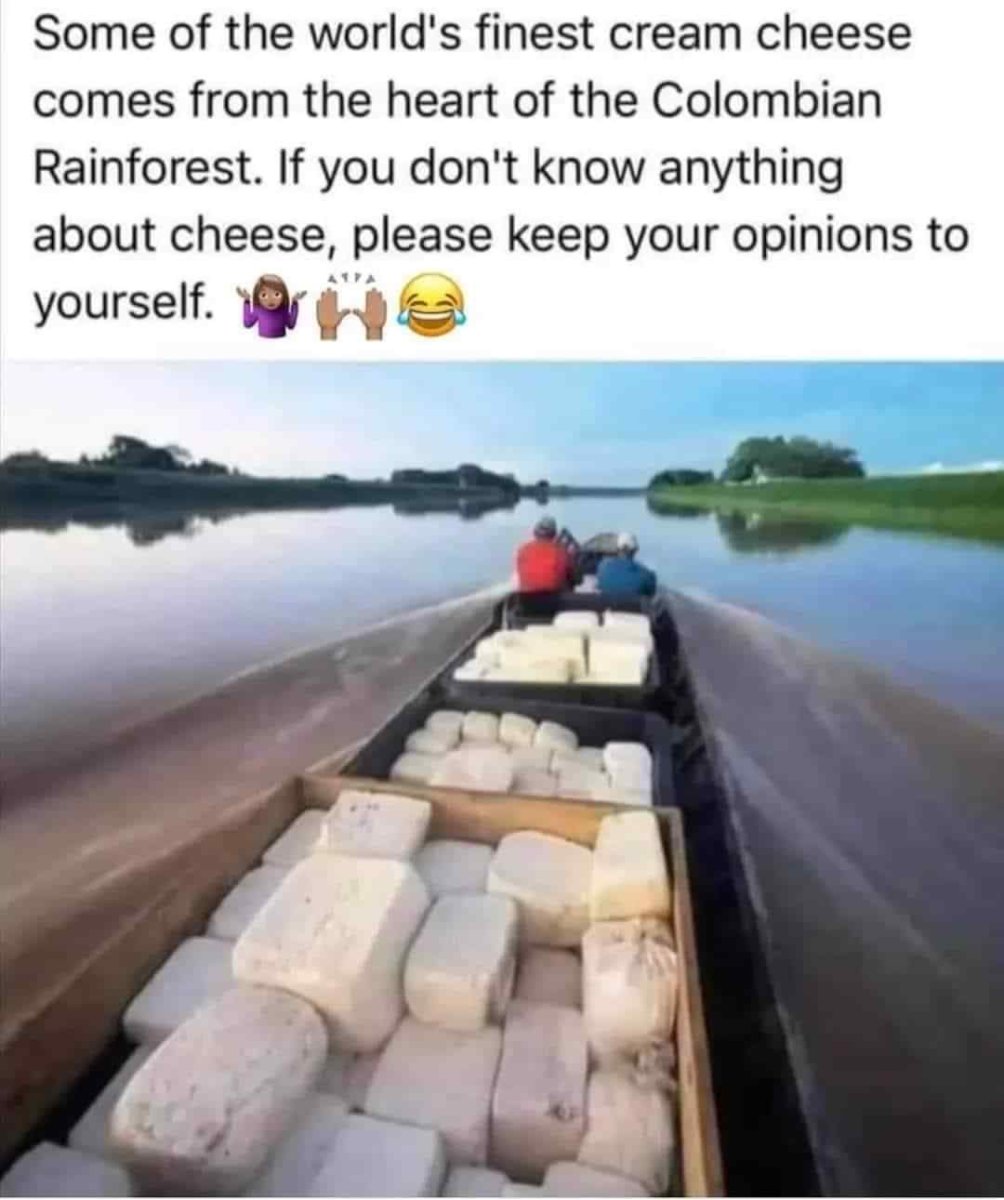 1000034208.jpg
