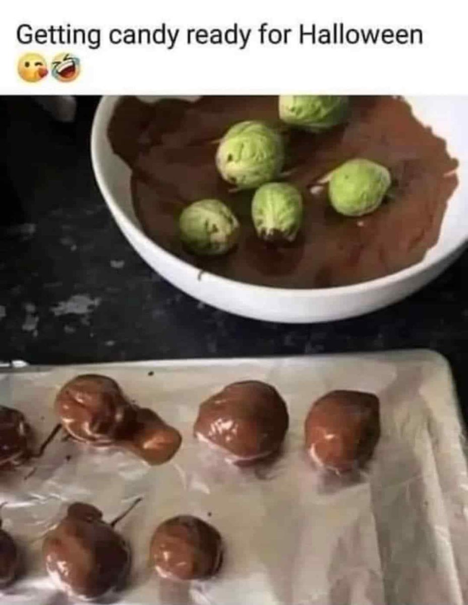 1000034227.jpg