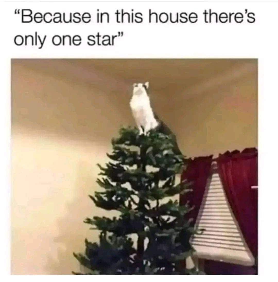1000035044.jpg