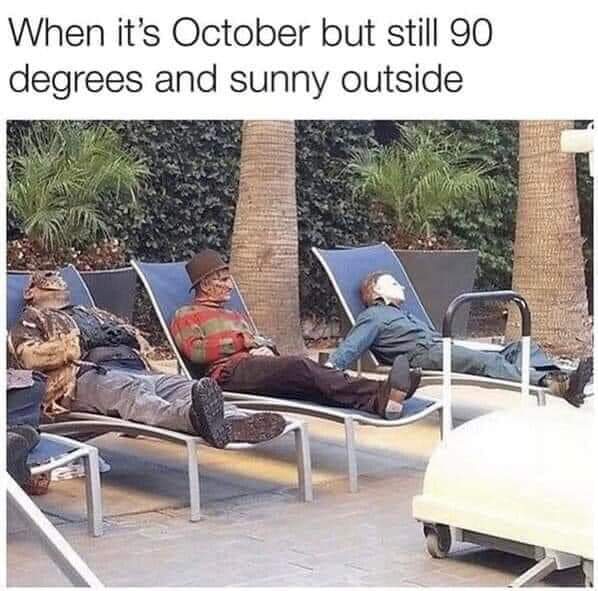 1000035474.jpg