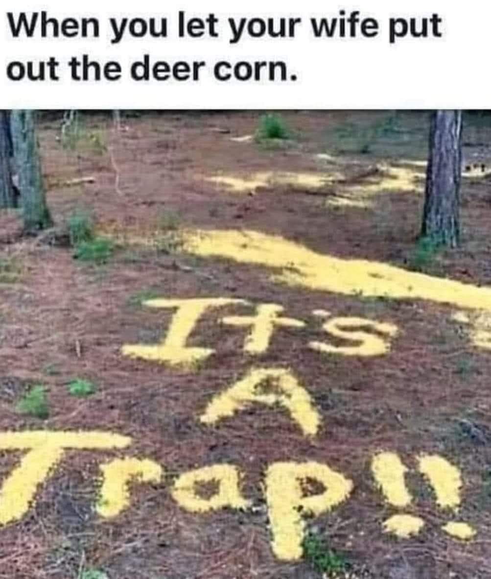 1000036692.jpg