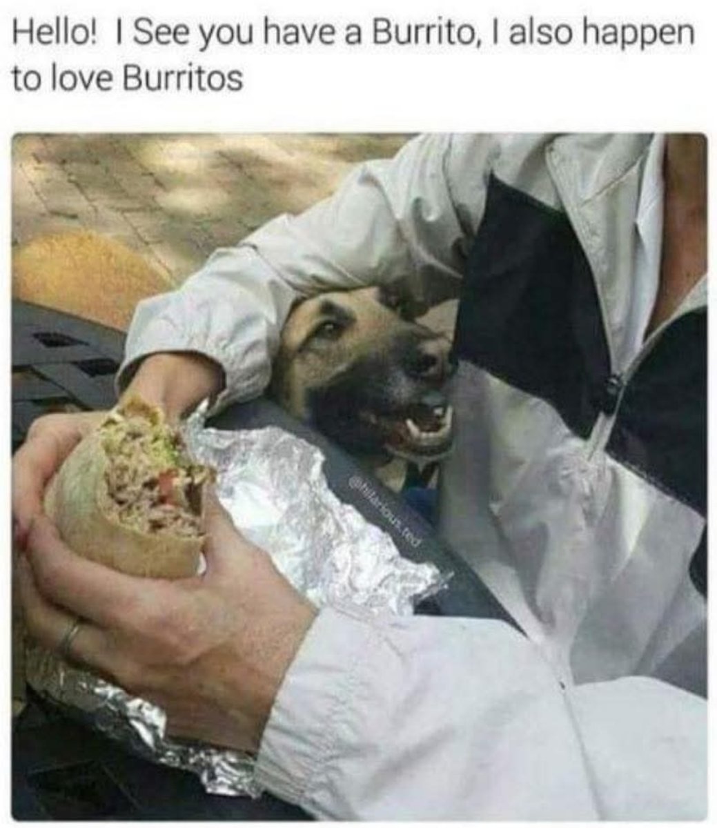 1000039581.jpg