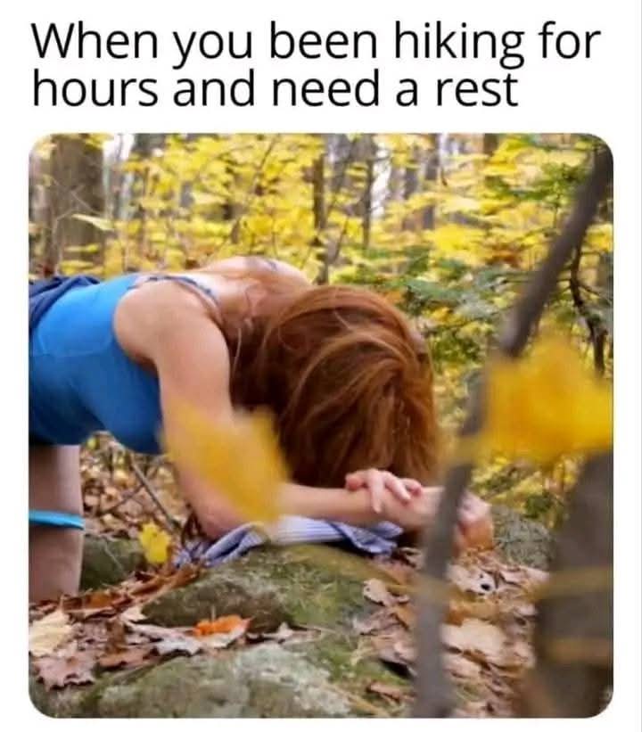 1000043238.jpg