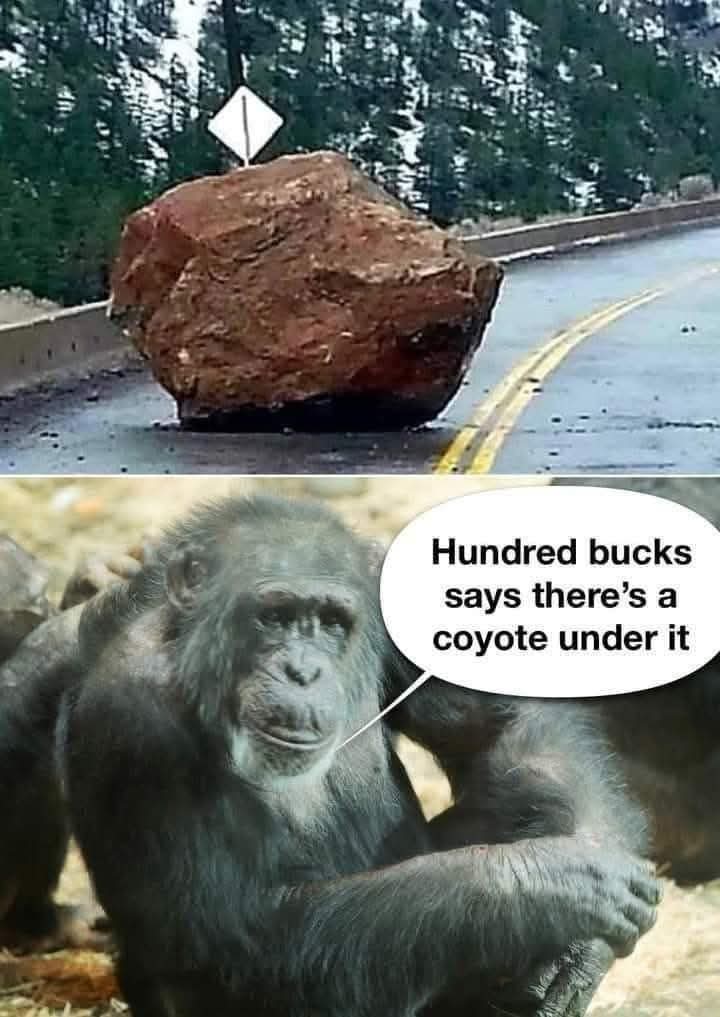 1000043788.jpg