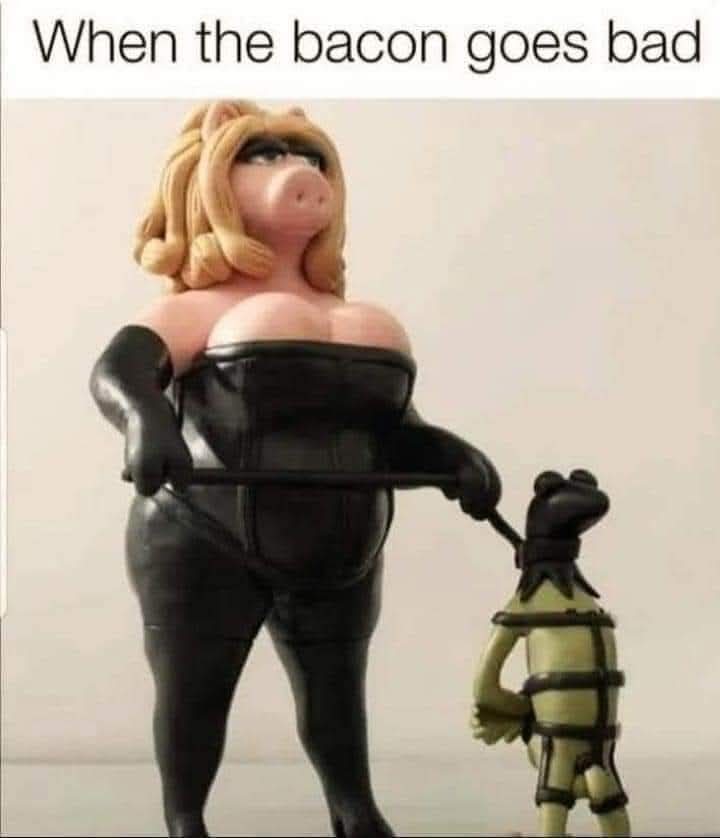 1000043804.jpg