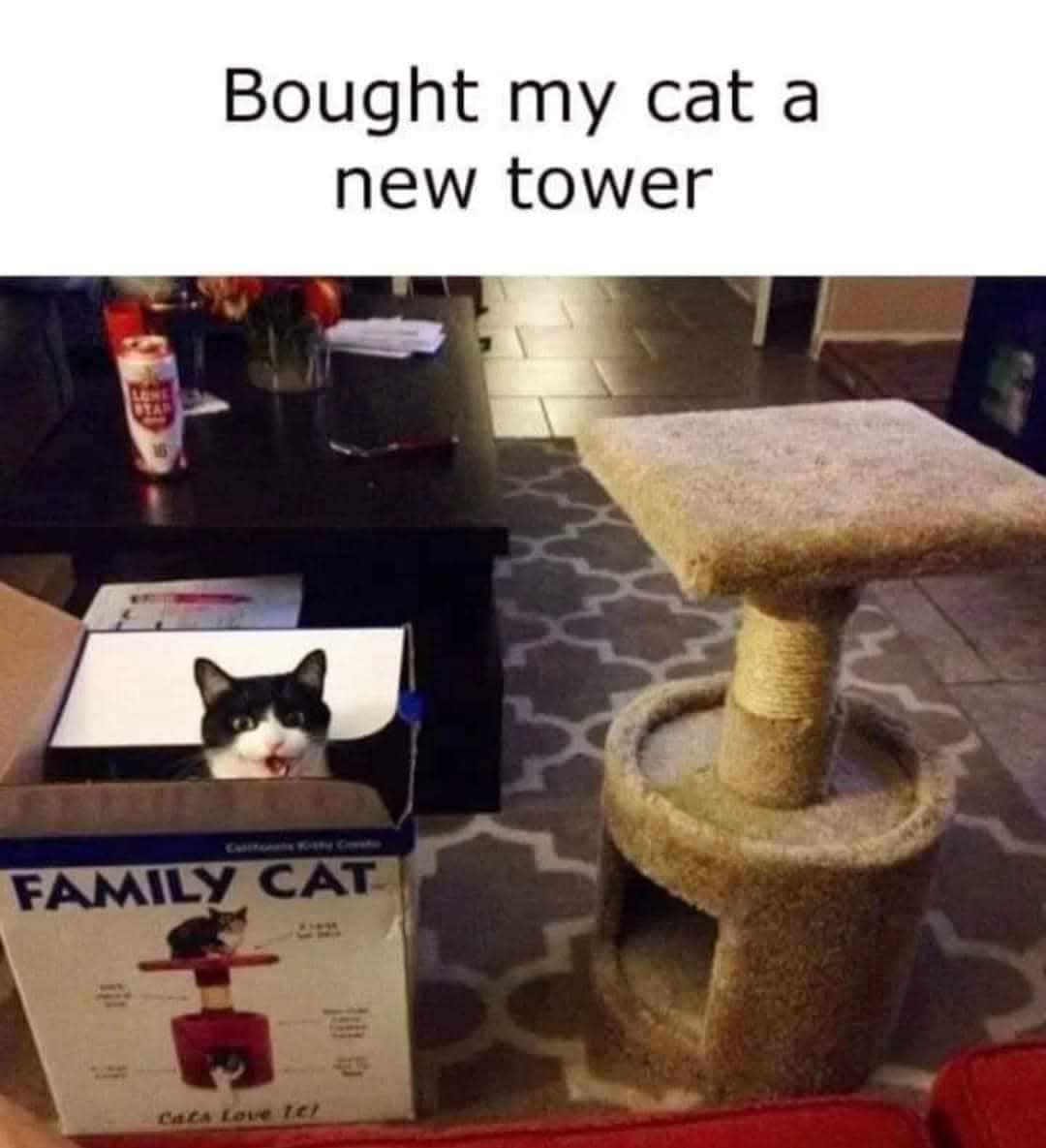 1000044832.jpg
