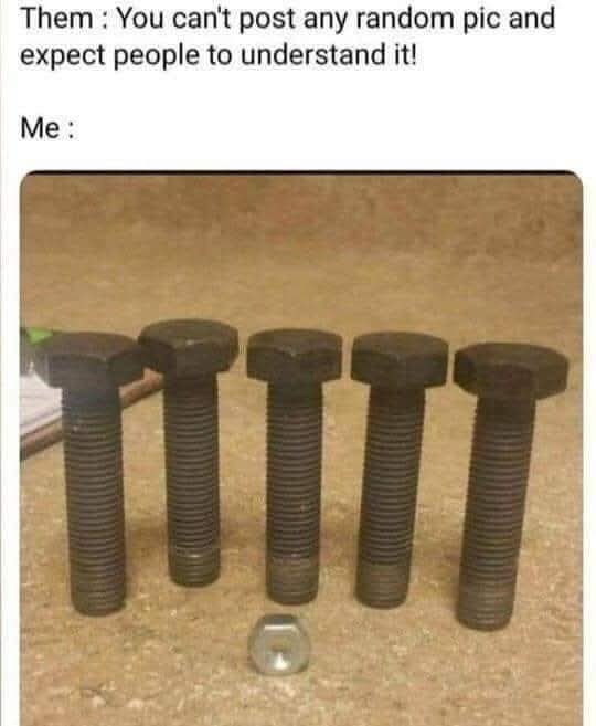 1000045292.jpg