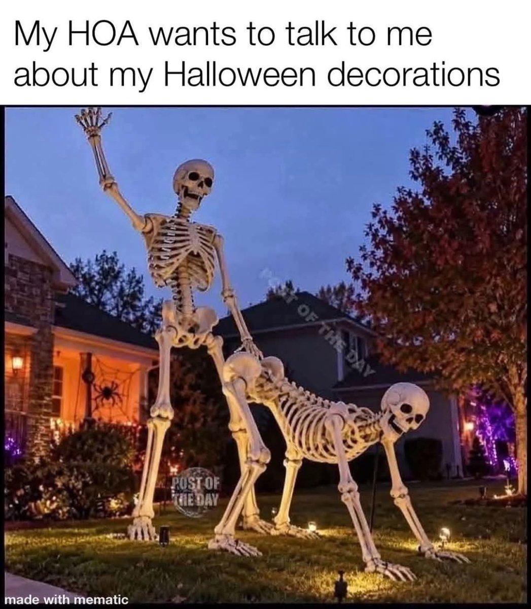 1000062911.jpg
