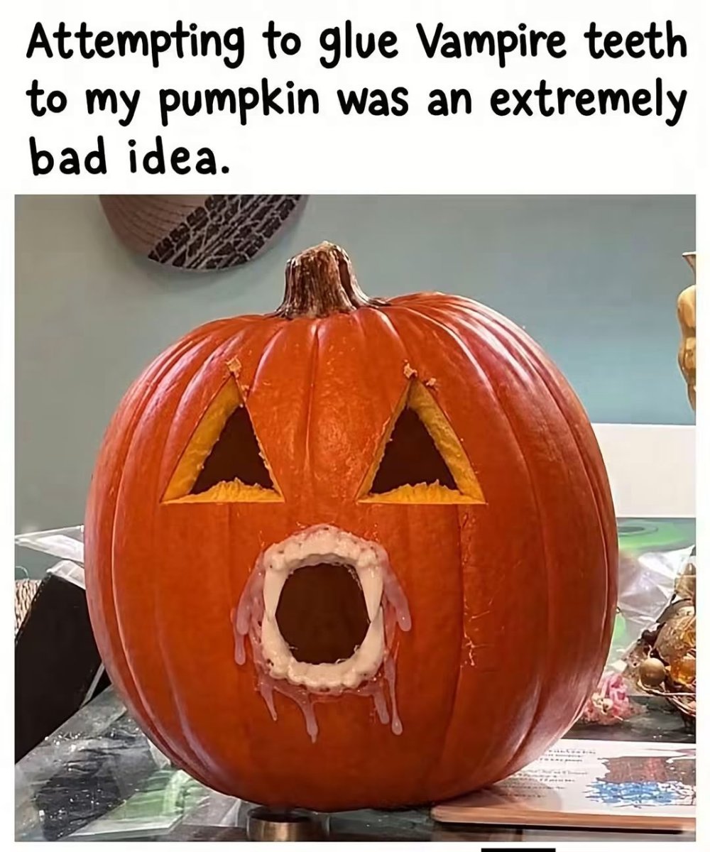1000064844.jpg