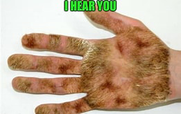 1618058683736.png