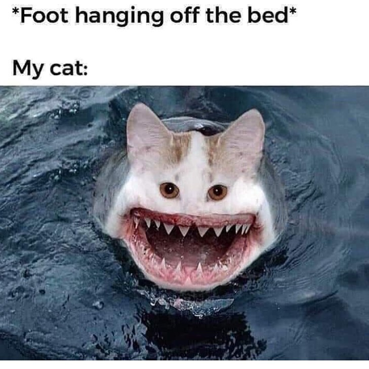 1620491631876.png