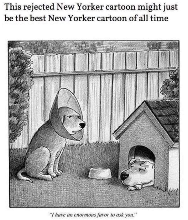 1625249722974.png