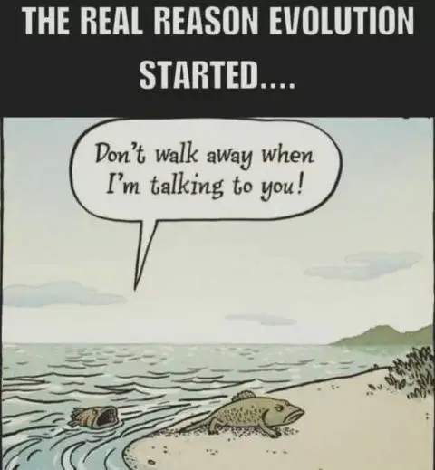1626535222299.png
