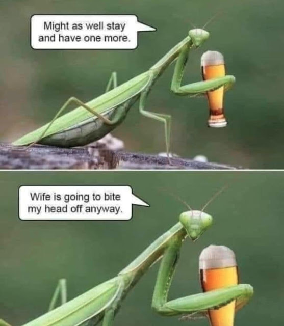 1629378711229.png