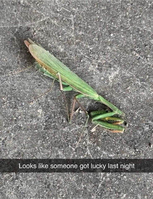 1630944709155.png