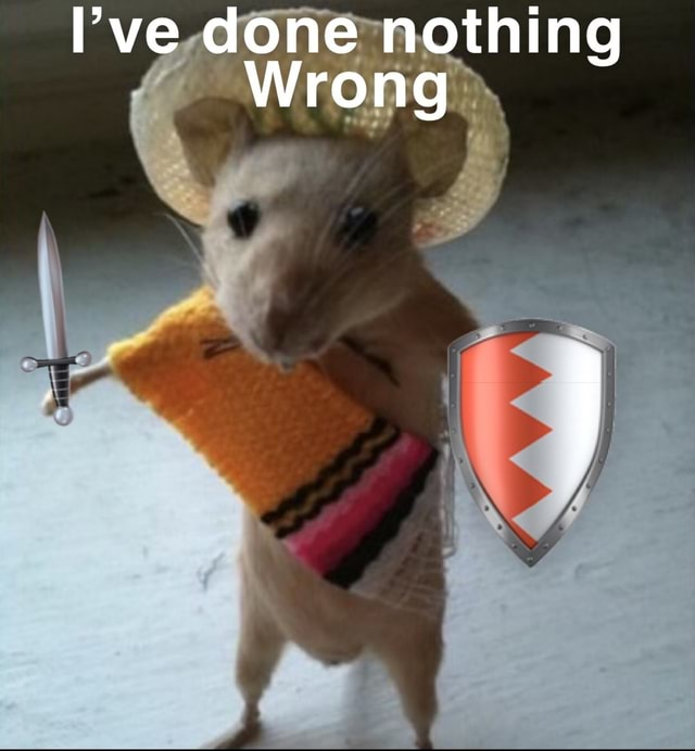 1642091570197.png