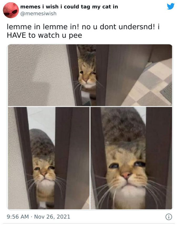 1648910454055.png