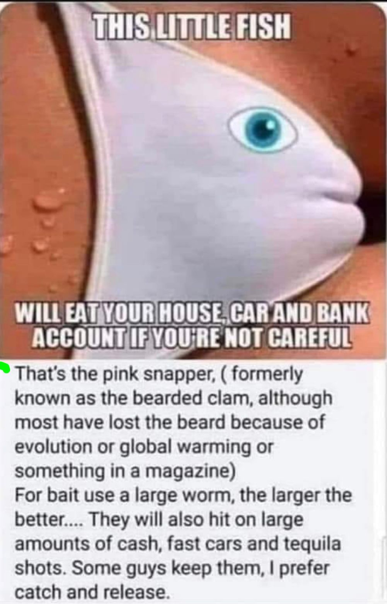 1667679914564.png