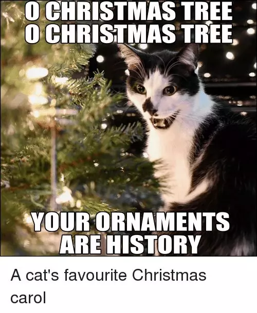 1670725863206.png