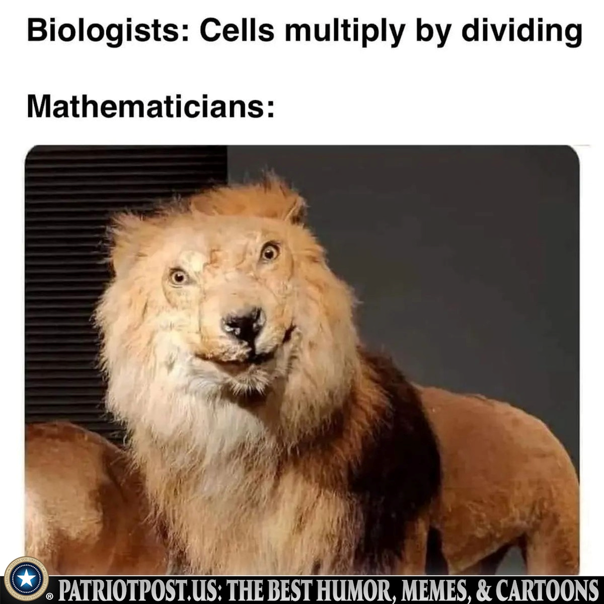1670873381776.png
