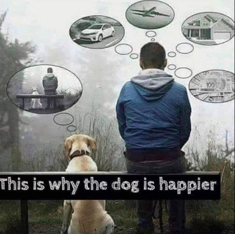 1671652072179.png