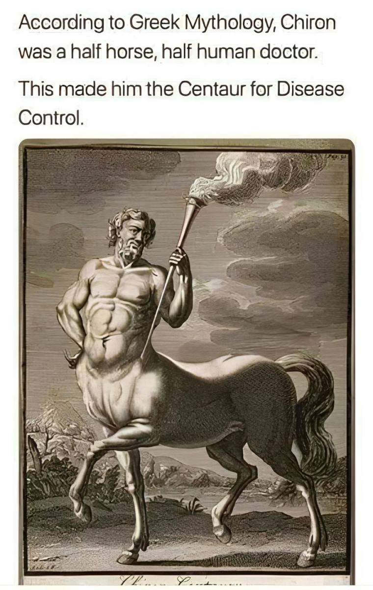 1686541292127.png