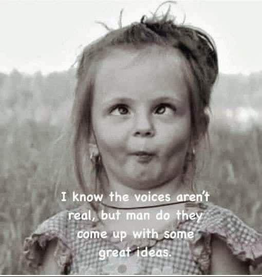 1692215292450.png