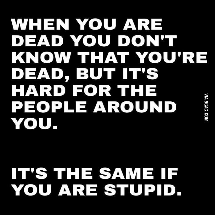1693262910980.png