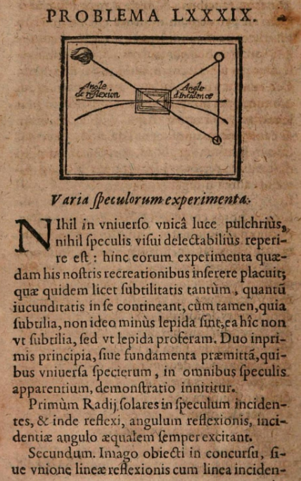 1695247569725.png