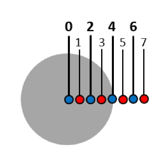 1696603499096.png