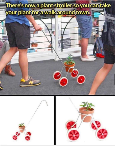 1697206057250.png