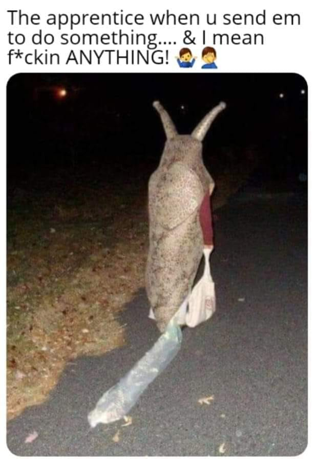 1698171320850.png