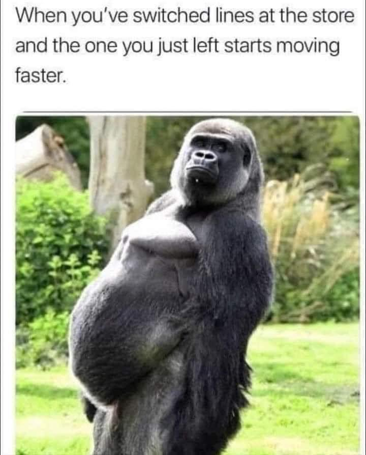 1699975800658.png