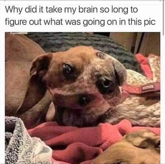 1717599022464.png