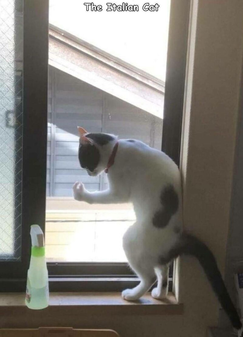 1719740570073.png